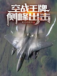 空軍王牌師