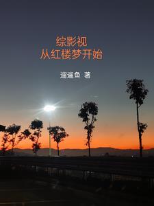 綜影視紅樓林家