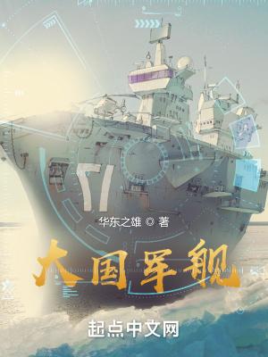 大國海軍txt