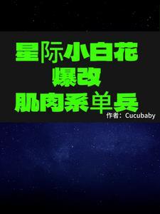 星際小白充電怎麼樣是充好了