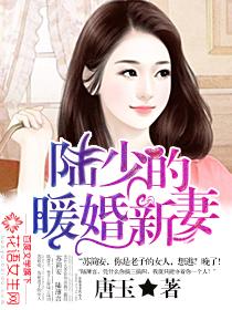 陸少的暖婚新妻 免費閱讀全文