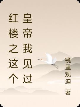 紅樓之我是皇子