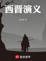 講西晉的書