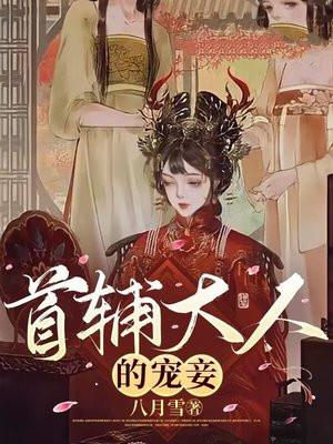 首輔大人的寵妾書評