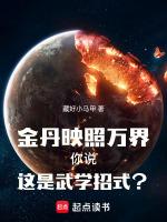 金丹映照萬界，你說這是武學招式？